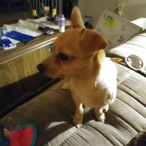 Meet your Posher, Kristena